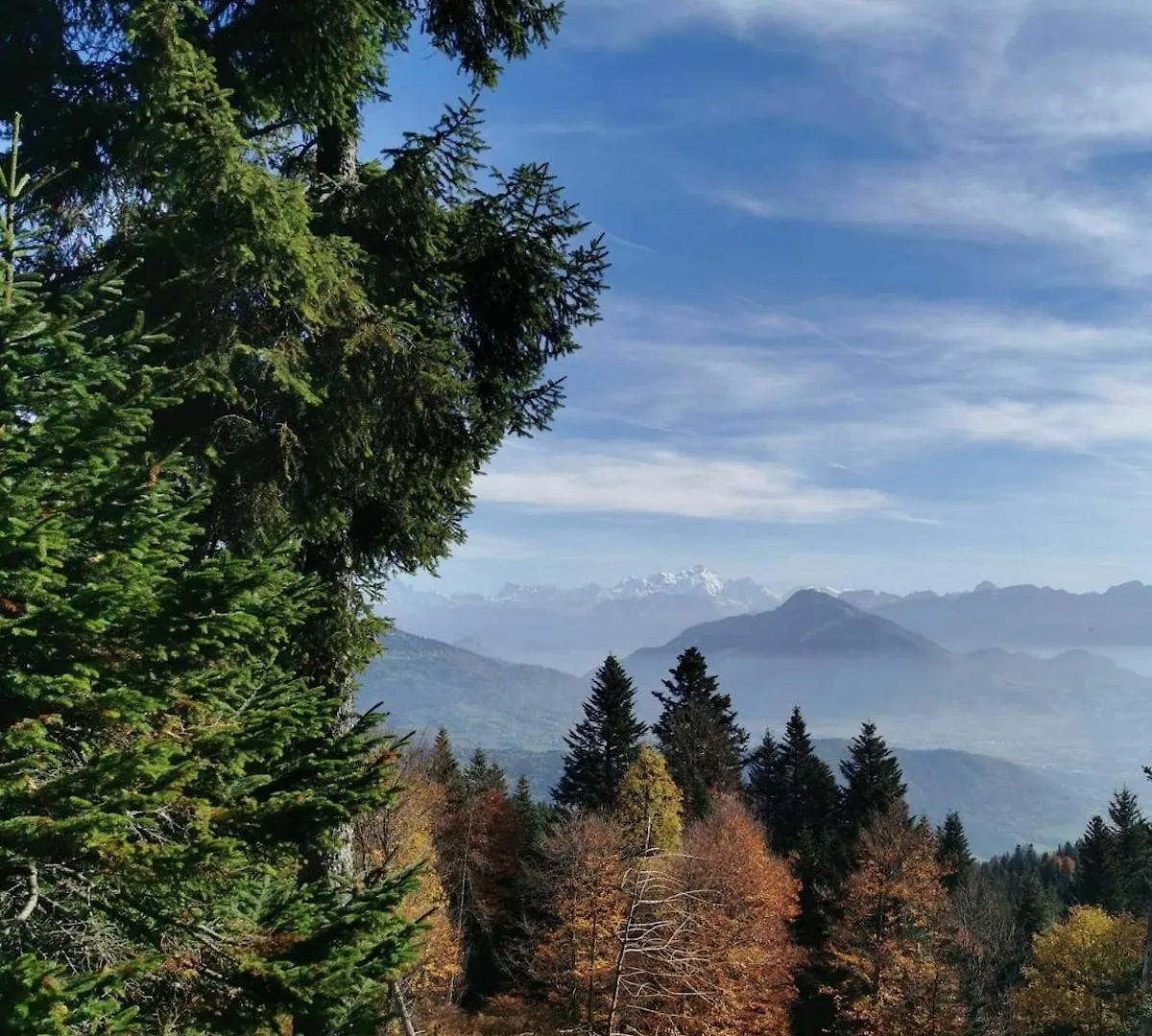 Le Spirit, Chalet 2 Personnes Lucinges